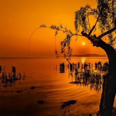 千鹤/夕阳西下/唯美意境背景图