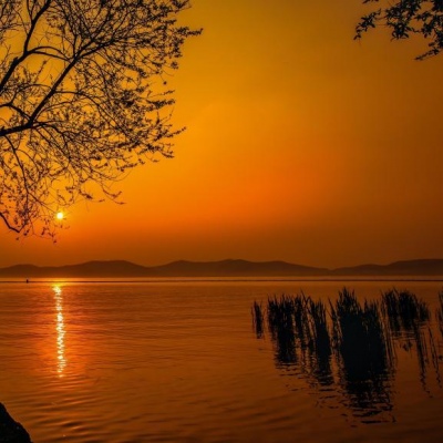 千鹤/夕阳西下/唯美意境背景图