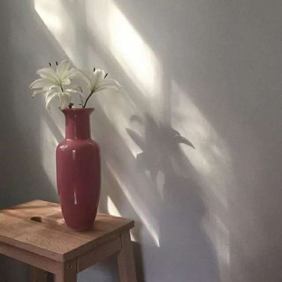简素静物背景图/舒适