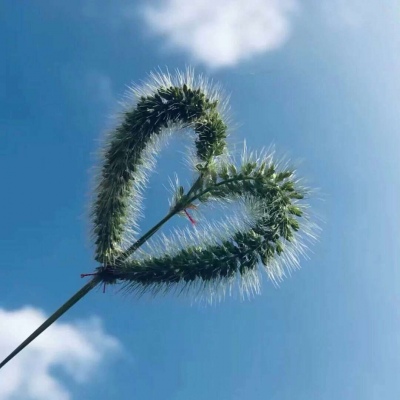 天空背景图:-)/等月亮掉进海里，我就背上你，去寻摸一池的星星。?