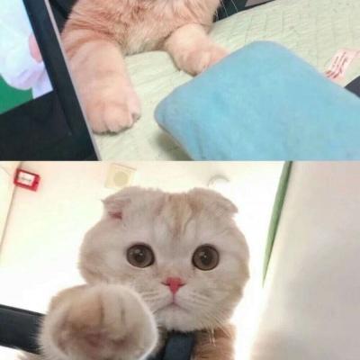 背景图 唯美的今日要微笑