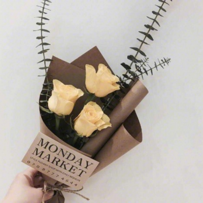 唯美花束/我是你的可有可无，你是我的从一而终
