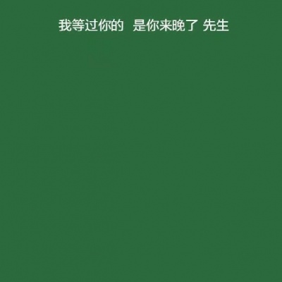 恬恬/绿色系高冷大气背景/绿色很干净 与爱情无关