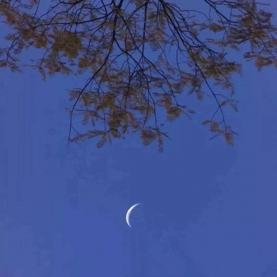 蓝色背景图