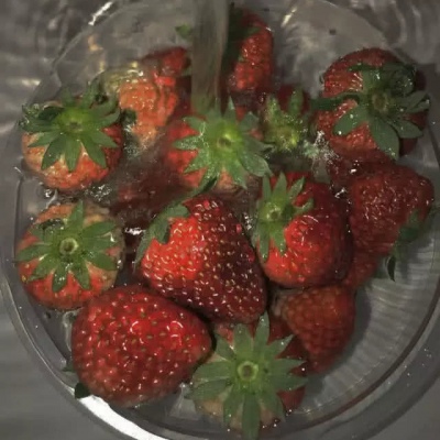 日常更图  草莓背景图
