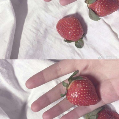 日常更图  草莓背景图