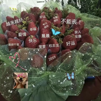 日常更图  草莓背景图