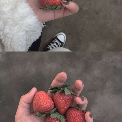 日常更图  草莓背景图