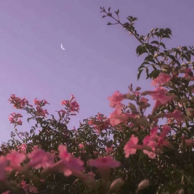 星空  一想到你和我还在同一片天空下我就有了前进的动力
