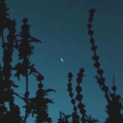 星空  一想到你和我还在同一片天空下我就有了前进的动力