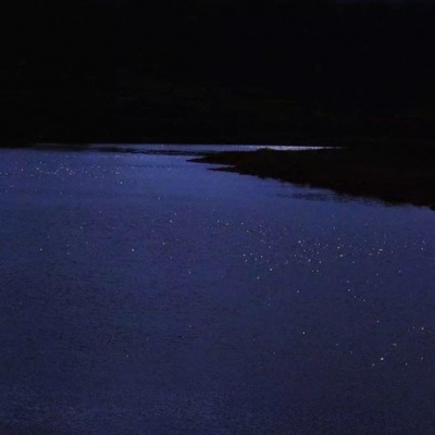 苏瓷:唯美意境背景（夜晚 意境 蓝色系 清新 唯美）