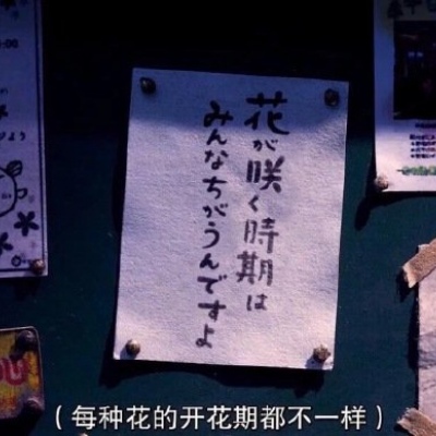 壁纸#背景图#ins