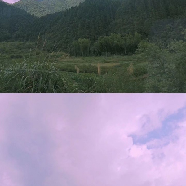 顾羽书.  故地重游看的不是风景,而是风景中的你