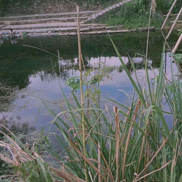 顾羽书.  故地重游看的不是风景,而是风景中的你