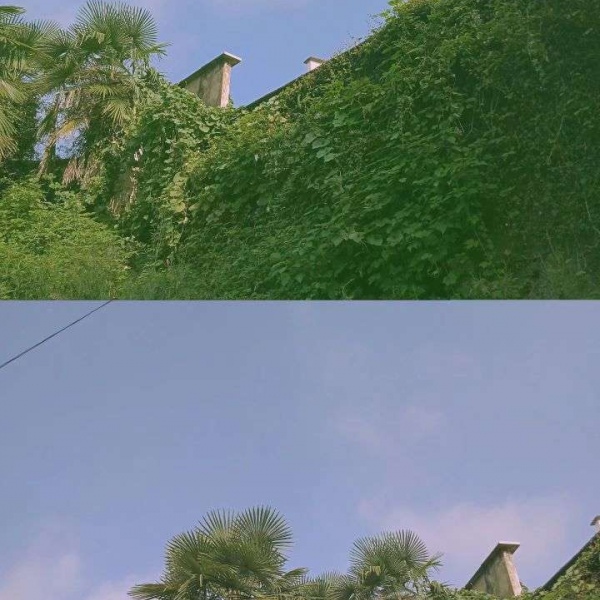 顾羽书.  故地重游看的不是风景,而是风景中的你