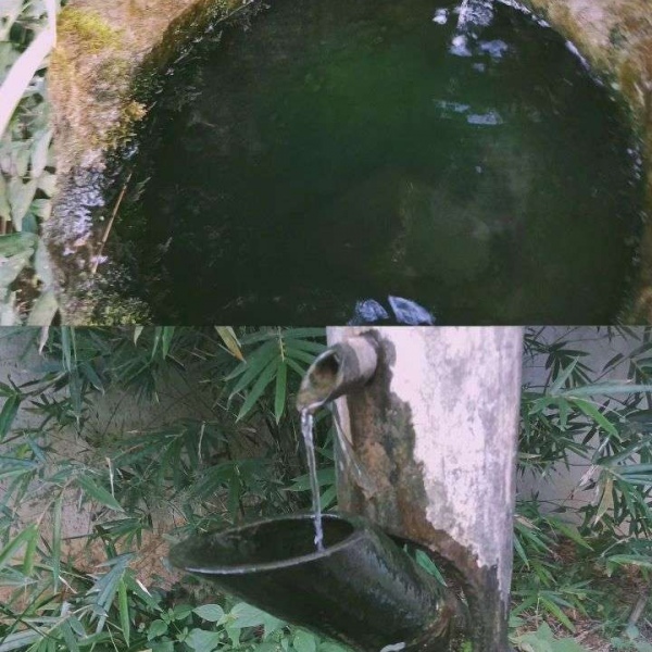 顾羽书.  故地重游看的不是风景,而是风景中的你