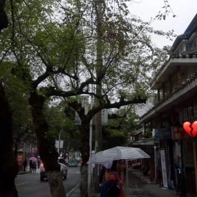 凭什么后来者居上，因为前者无能.