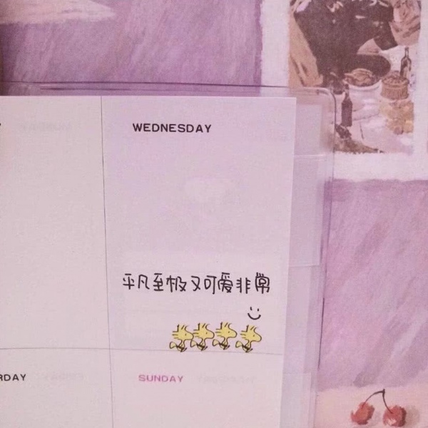 顾羽书.  粉色系唯美背景