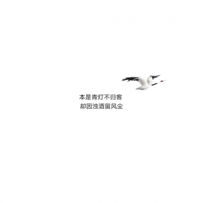 混网白底黑字背景图/还喜欢 还在意 但不再渴望在一起.
