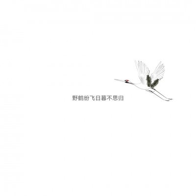 混网白底黑字背景图/还喜欢 还在意 但不再渴望在一起.