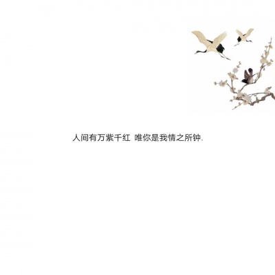混网白底黑字背景图/还喜欢 还在意 但不再渴望在一起.