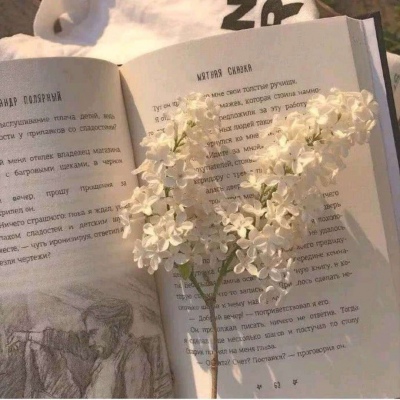背景图/非要把所有好感都耗尽 你才甘心.