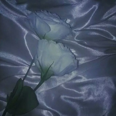 推荐优质花照?