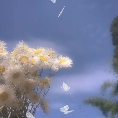 推荐优质花照?