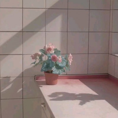 推荐优质花照?