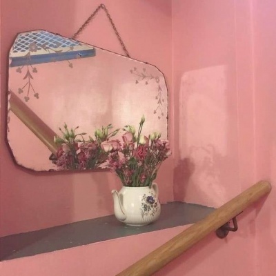 推荐优质花照?