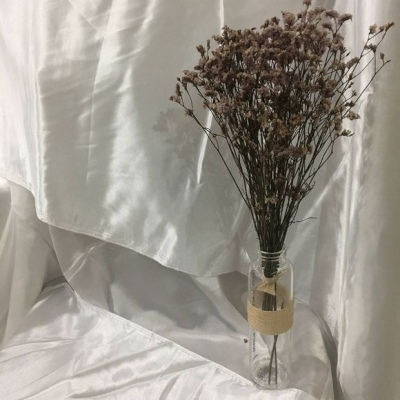 推荐优质花照?