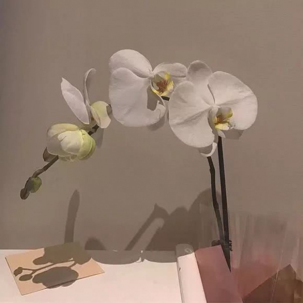 背景图