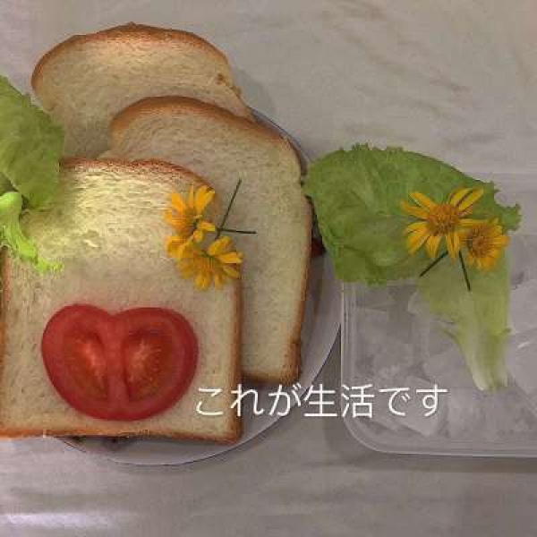 背景图