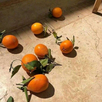 林知晚  黄色唯美意境小清新背景图