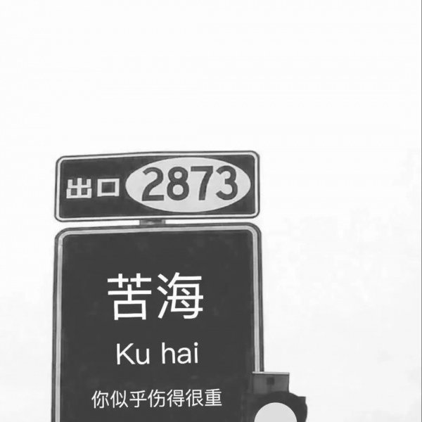 天上的明星现了，好像点着无数的街灯