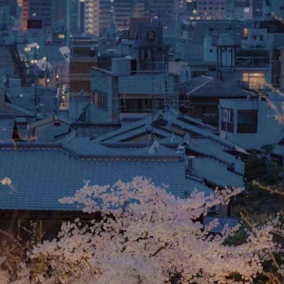 植物