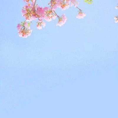 植物