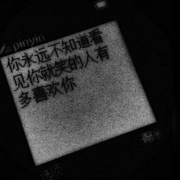 宸宸/丧图