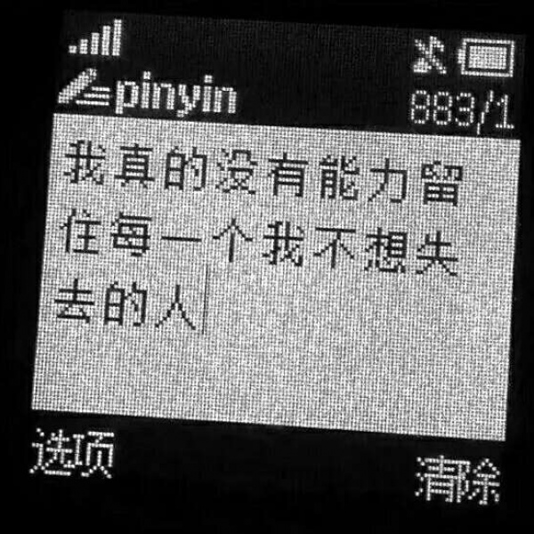 宸宸/丧图