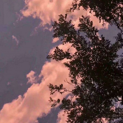背景图    最想说的话，藏在眼睛里，草稿箱里，还有梦里