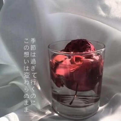 背景图    最想说的话，藏在眼睛里，草稿箱里，还有梦里