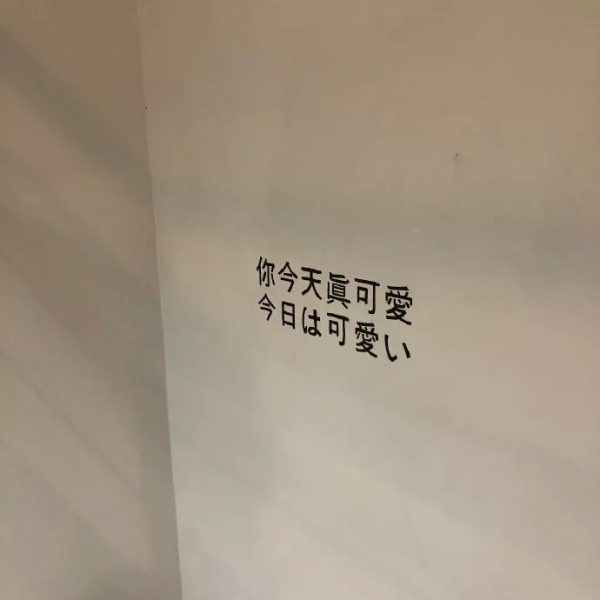 安奈 新鲜唯美静物头像背景图 有些人 是成双成对来到这世上的