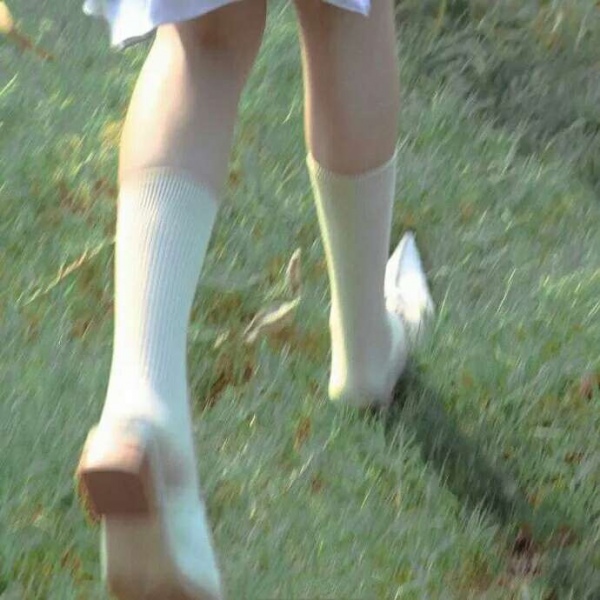 安奈 新鲜唯美静物头像背景图 有些人 是成双成对来到这世上的