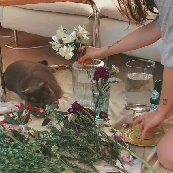 林琪染背景图拥有你的每天都是美好的一天