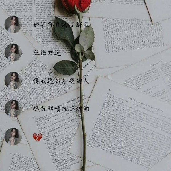 小梦/玫瑰带来的除了爱  还有伤害