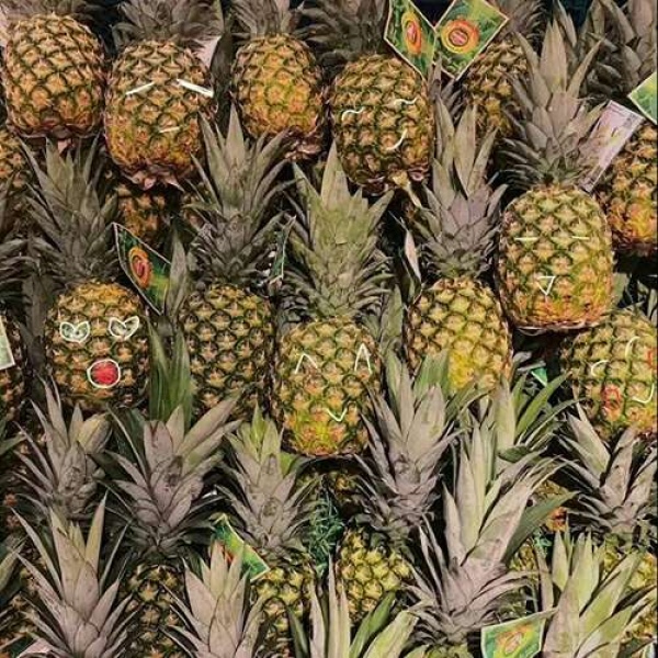 苏瓷:唯美背景（美图 静物 风景 唯美 花）