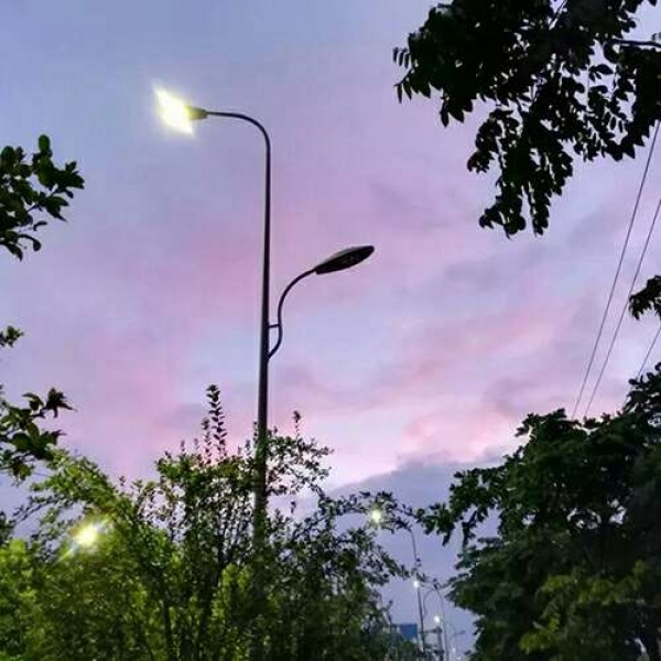 苏瓷:唯美背景（美图 静物 风景 唯美 花）
