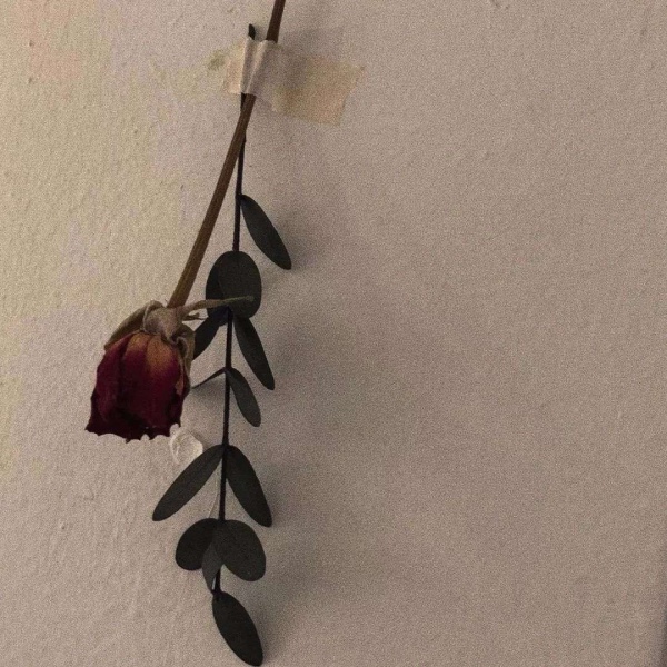 梓涵：壁纸?