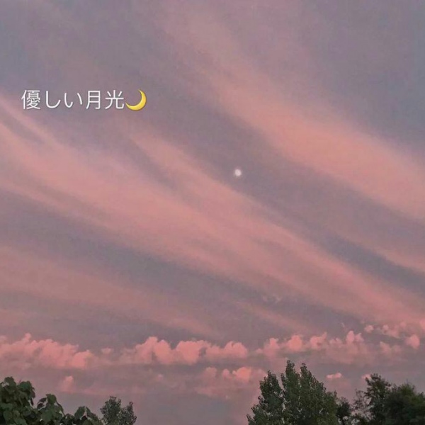 江桥//优质背景图。