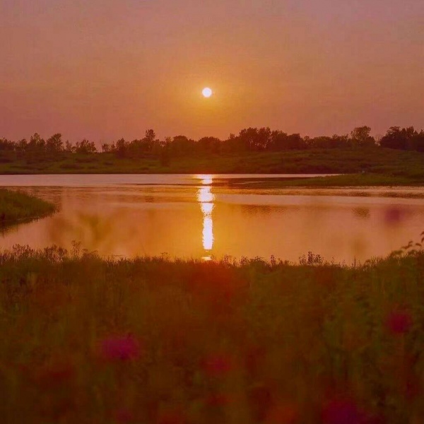 苏瓷:唯美风景美图（静物 夕阳西落 意境 唯美 ）